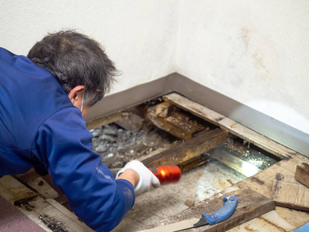 Best Mold Testing  in Woodlake, CA