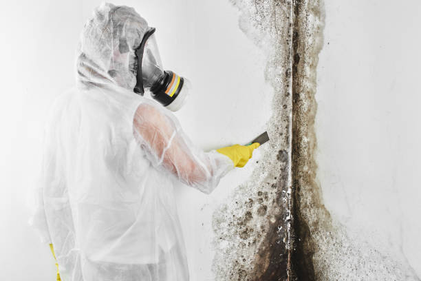 Best Crawl Space Mold Removal  in Woodlake, CA