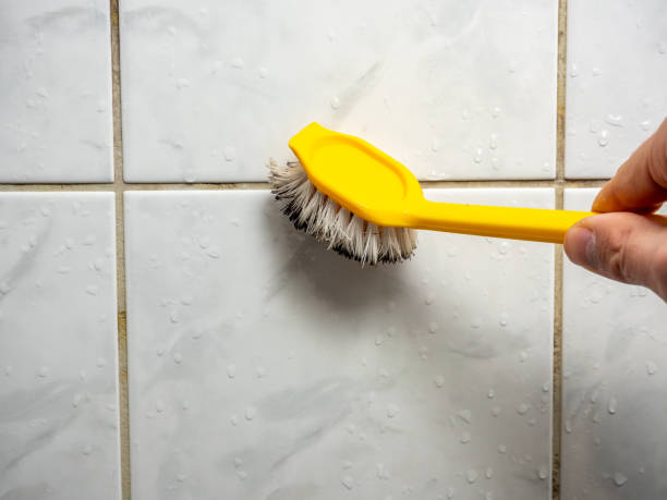 Best Commercial Mold Removal  in Woodlake, CA