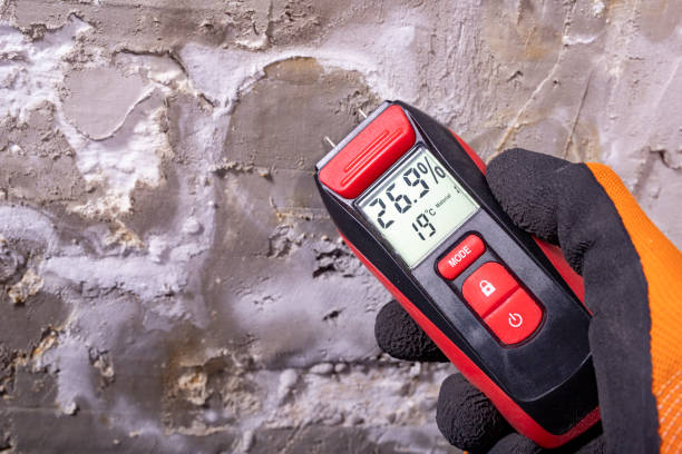 Best Residential Mold Removal  in Woodlake, CA