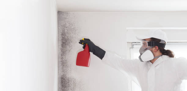Best Mold Cleaning Services  in Woodlake, CA