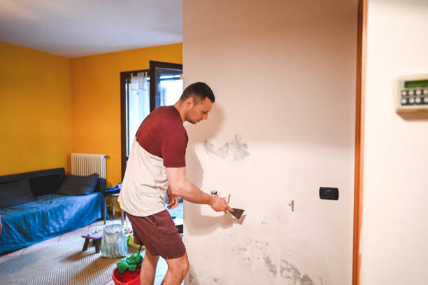 Best Home Mold Removal  in Woodlake, CA