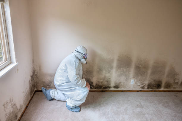Best Mold Cleaning Services  in Woodlake, CA