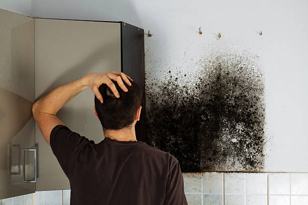 Best Mold Remediation  in Woodlake, CA