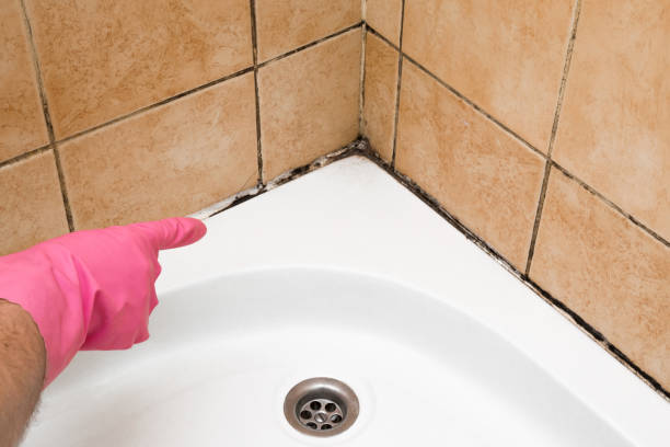 Best Local Mold Removal Service  in Woodlake, CA